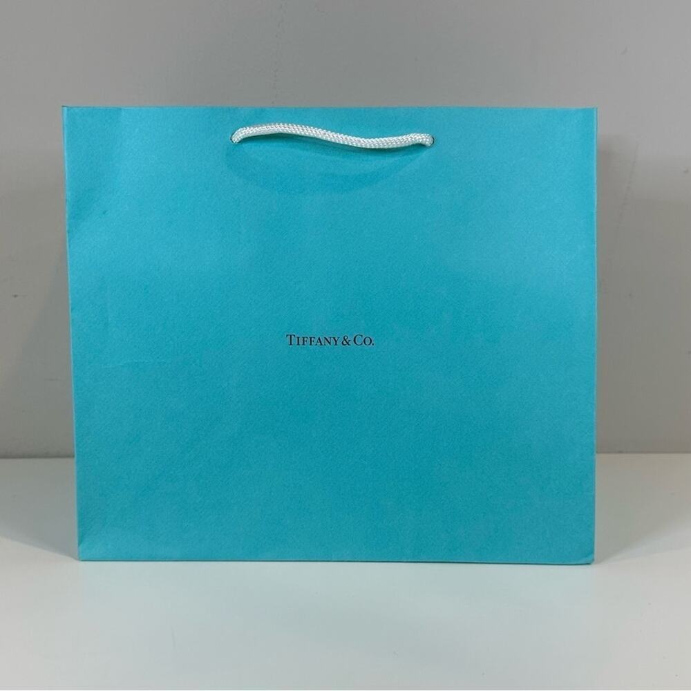 Tiffany & Co. Medium Gift Bag